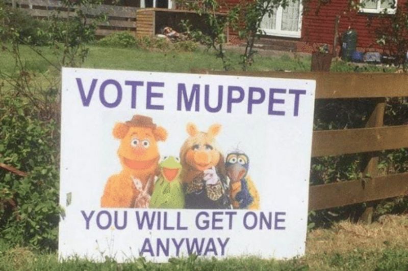 cmg-crop-0_131_800_533.vote-muppet-you-will-get-one-anyway-55995322-1.png.pro-cmg.jpg